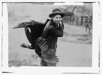 感恩节，女人拿着火鸡。