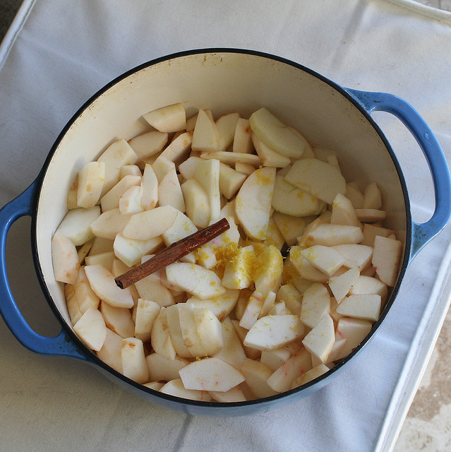 苹果楔形与肉桂|图片由惠特尼