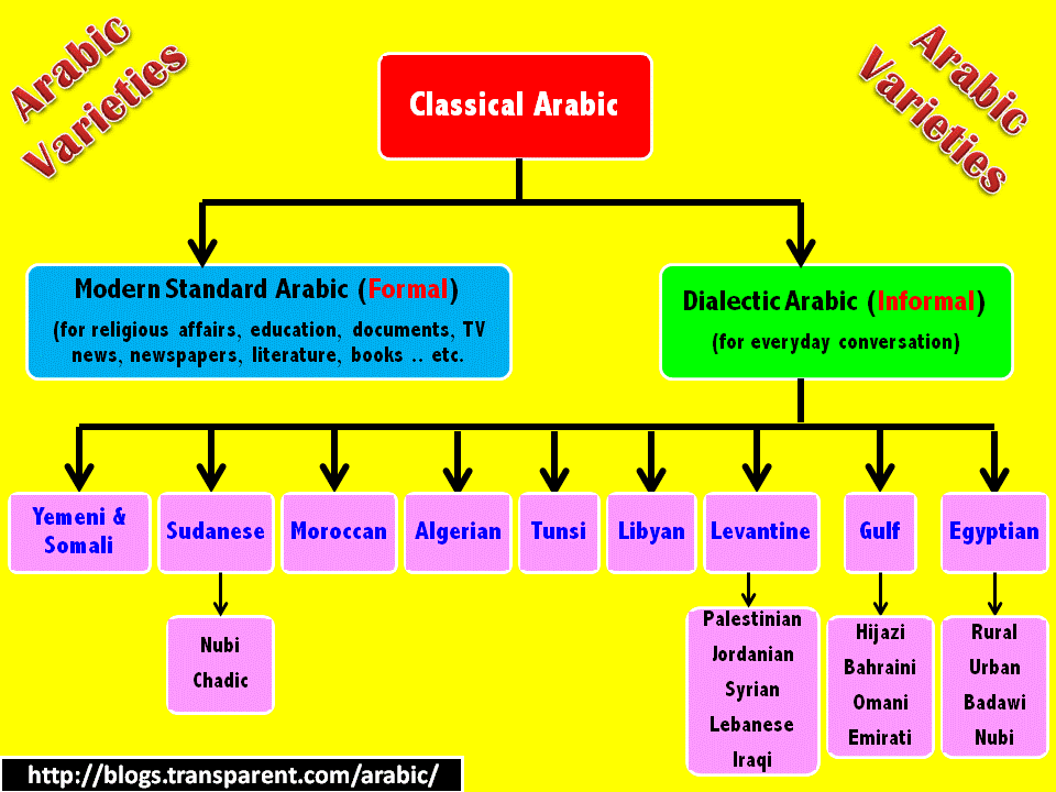 阿拉伯语品种绘制成了可视图