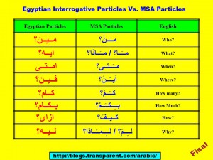 埃及疑问句粒子与MSA粒子