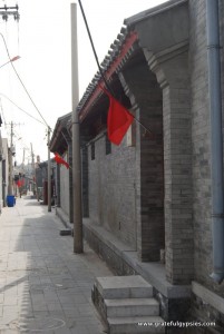 漫步在北京的胡同里。