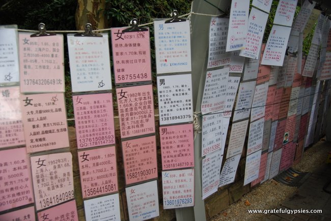 上海人民公园的“婚姻市场”。