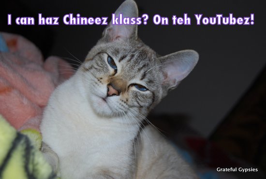 在YouTube上甚至LOL猫喜欢学习中文!