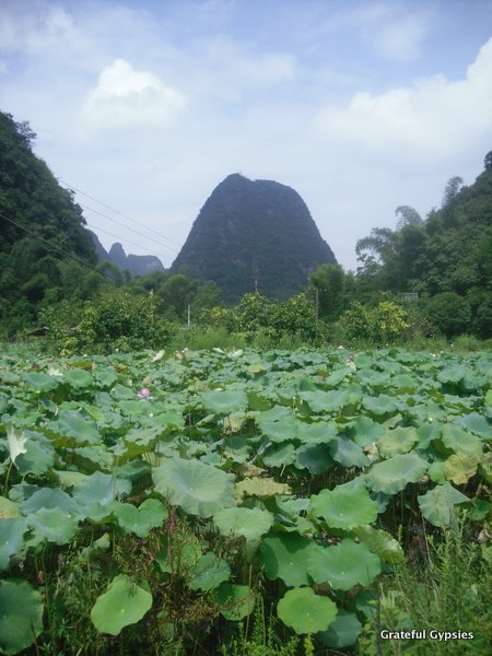 骑着两轮车避开人群，独自享受这样的地方。