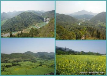 罗平的梦幻风景