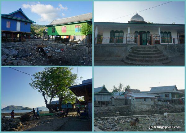 村子里的几个场景。