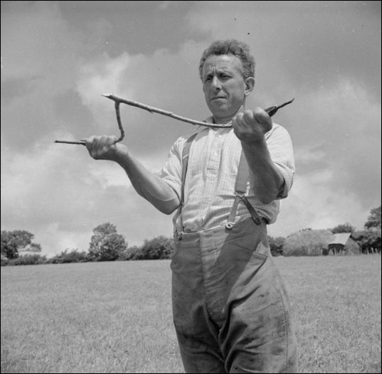 Agriculture_in_Britain -_Life_on_George_Casely 's_Farm、_Devon _England _1942_D9817