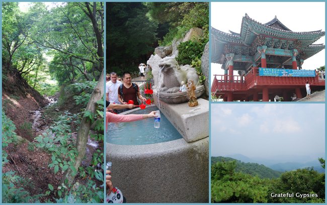 这是我们下午在庆州拍摄的几张照片。