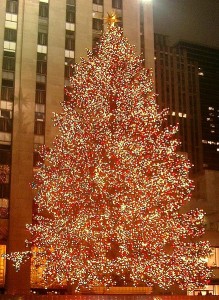 纽约市著名的洛克菲勒中心圣诞树