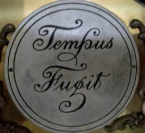 Tempus Fugit在拉丁语中的意思是时光飞逝。由Crazygallery提供。