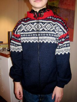 Marius毛衣。（照片由Kirsti I. I.在Flickr，CC许可证上。）