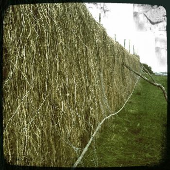 Hesje上面有干草。(图片由Flickr上的仙女之心提供，CC许可)