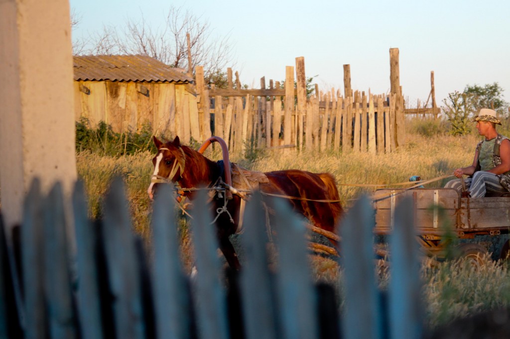 俄罗斯村庄，骑在马上的村民