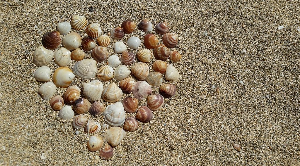 心脏在海滩上分享贝壳