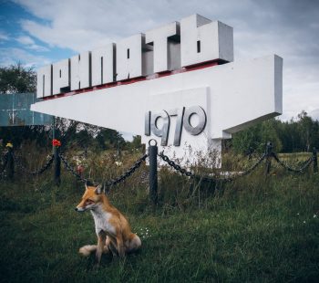 Pripyat入口标志