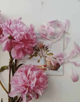 杂志封面上有粉红色的花