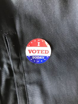 这是我2016年威斯康辛州大选时的“我投票了”贴纸!还掺了一点猫毛。
